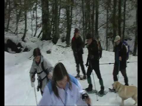 Ruta con raquetas de nieve (Club Pandetrave)