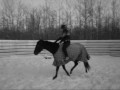 Riding my three year old tackless!