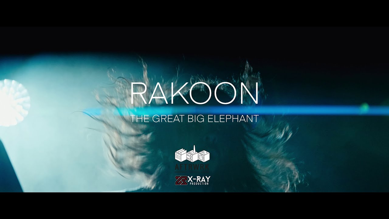Rakoon - The Great Big Elephant (Official Video)