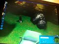 rollorcoaster