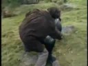 The Doctor VS Field Major Styre
