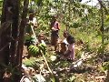 Seightseeing Flores Indonesien 3