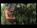 Naturismo Amazonico Ayahuasca