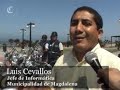 serenos cibernéticos