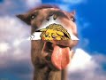 imagenes chistosas parte 1