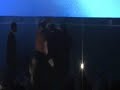 DG YOLA and T-PAIN live performance at OZONE AWARDS DG YOLA and T-PAIN live performance at OZONE AWARDS