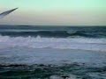 Cronulla Riots
