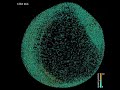 Reconstruction of zebrafish early embryonic development Reconstruction of zebrafish early embryonic development