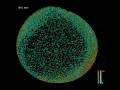 videos de Reconstruction of zebrafish early embryonic development