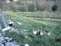 GÜNDO?DU MAHALLES? YOLU B?R HAR?KA GÜNDO?DU MAHALLES? YOLU B?R HAR?KA