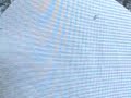 greenhouse didn't make it.AVI