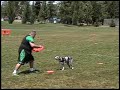 Steve and Irish