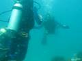 Scuba Diving in the Patagonia