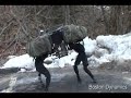 Pentagon robot bigdog