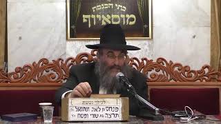 מוסאיוף שידור חי • יום חמישי ו’ תשרי תשפ’א