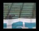 Stal Mielec - Stal Rzesz�w [Serce..] http://stal-mielec.net