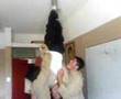 Suplex-Doble-pahenry