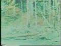 Bigfoot-Patterson Film