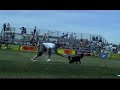UFO/AWI Dogfrisbee Worldfinals 06 UFO/AWI Dogfrisbee Worldfinals 06