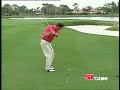 golf-pitch-shot.html