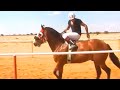 Carreras de caballos en El Molino (Zacatecas, Zacatecas)