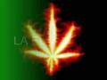 videos de La marihuana