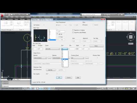 CADS RC - Managing issues and revisions