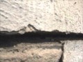 Thumbnail WGI7dg4f3js