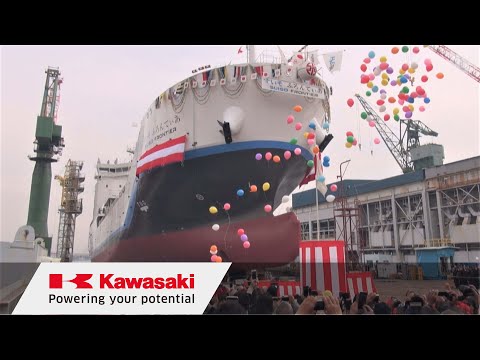 動画