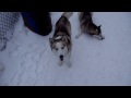 First day of Winter