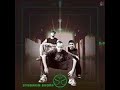 Syndrom snopp - Invaze Syndrom snopp - Invaze