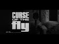 Curse Of The Fly ( the beginning ) Curse Of The Fly ( the beginning )