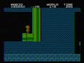 Mario Bros Negative world entrance