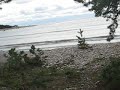 Lainetemurdja Lainetemurdja