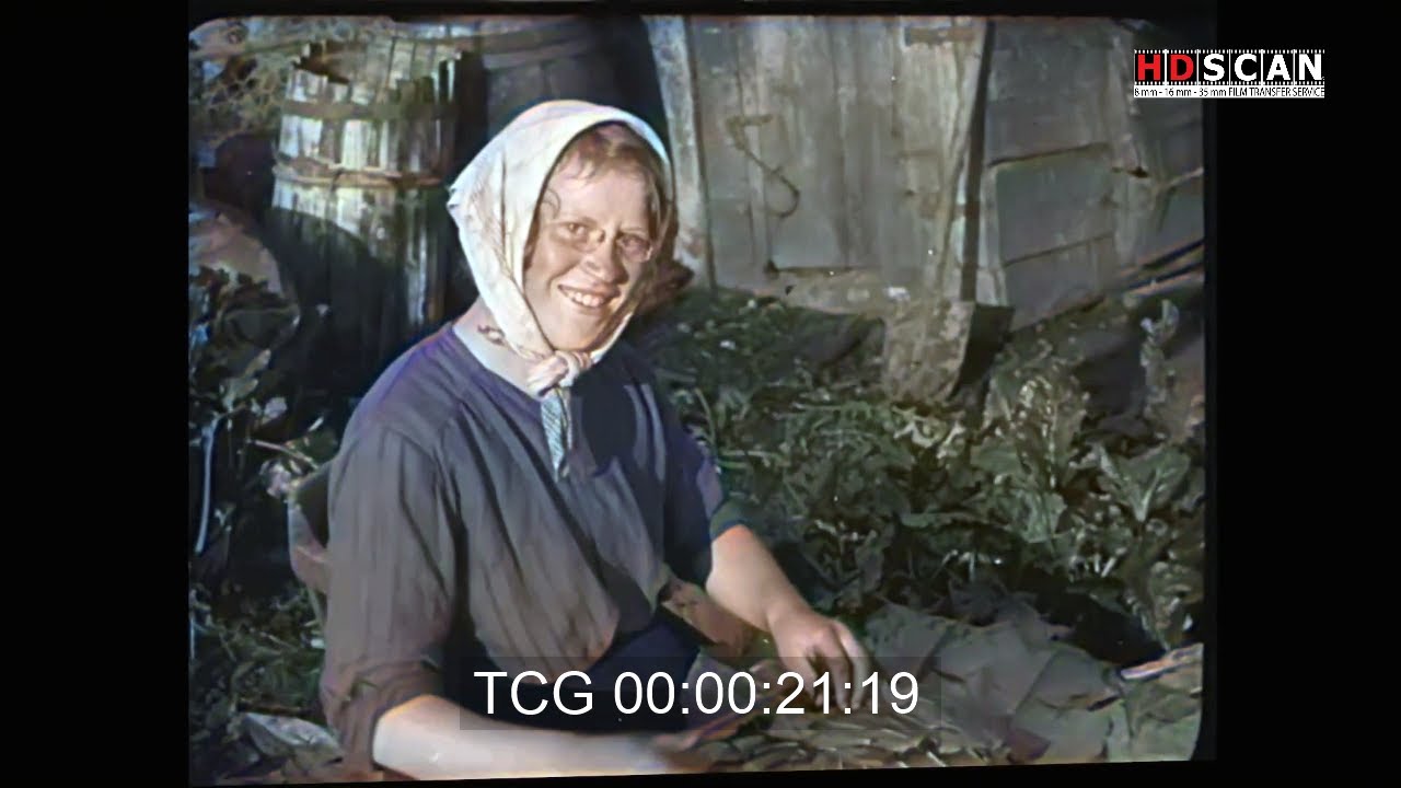 Restaurerad och färglagd 16mm film från sekelskiftet