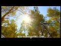 kurdischer song f�r den libanon !
???? ????????