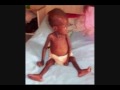 Orphan Child... Orphan Child...