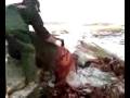 videos de WHAT FIREFIGHTERS DO ON OFFSEASON