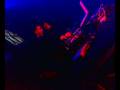 videos de f.gazza - industrial copera 29-11-2008(markantonio & rino cerrone)