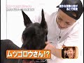 [??] 060416 Koki&dog--????