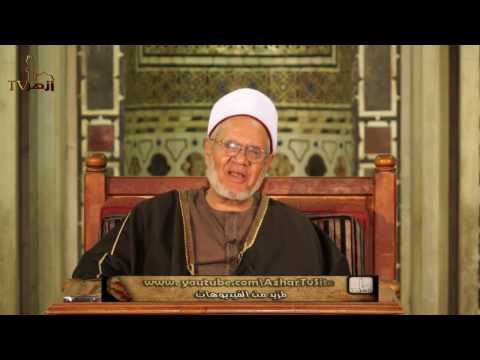 شرح كتاب كليلة ودمنة للدكتور على صالح الازهرى الحلقة 19