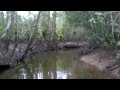 REMADA PELO RIO SEBU�