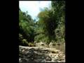 La Isla Bonita - Don Omar ft Rell & Cynthia