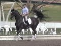 Grand Glissando and Jeremy Steinberg Schooling with Klaus Balkenhol part 2