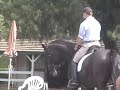 Grand Glissando and Jeremy Steinberg Schooling with Klaus Balkenhol part 2
