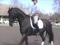 Grand Glissando and Jeremy Steinberg Schooling with Klaus Balkenhol part 2