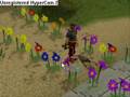Runescape Floating Glitch with my Dog