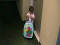 Adestramento Adestramento
