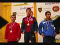 Nordisk Mesterskap i bryting 2008