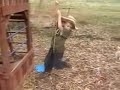 Dallin's Indiana Jones Movie